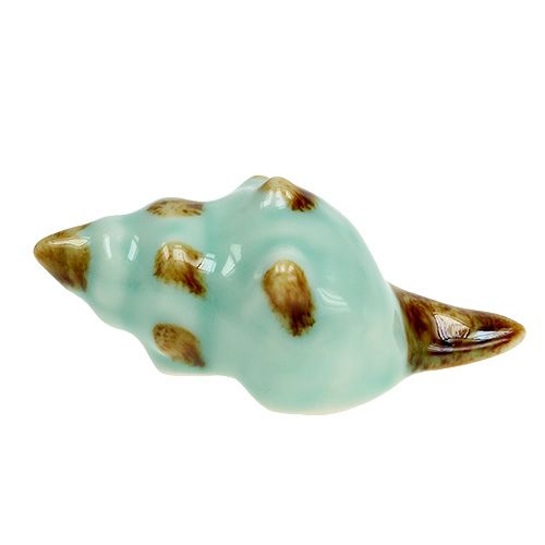 Floristik24 Porcelanowy rodzaj muszli. 9,5 cm 2 szt.