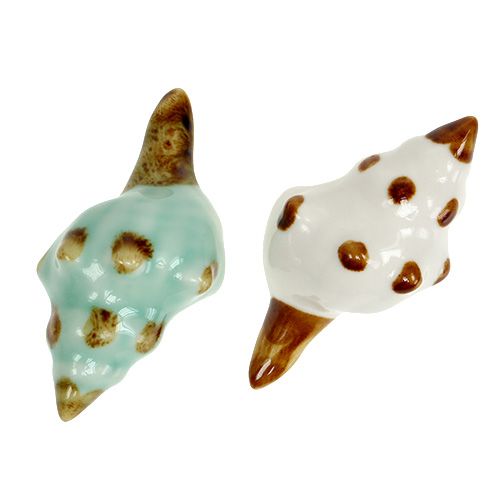 Floristik24 Porcelanowy rodzaj muszli. 9,5 cm 2 szt.