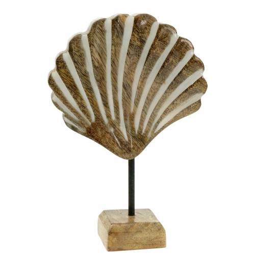 Floristik24 Muszla z drewnem bazowym biała, natura 20×14cm Dekoracja morska do salonu