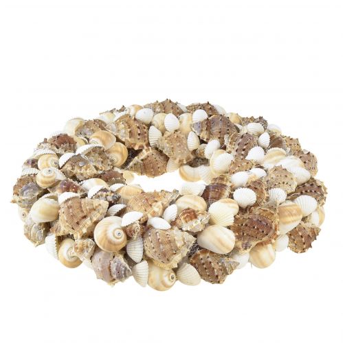 Floristik24 Wianek z muszli Wianek ślimakowy do zawieszenia kokos naturalny Ø25cm
