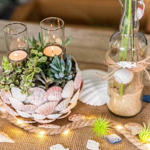 Floristik24 Mieszanka małży natura 500g