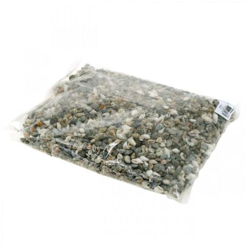 Floristik24 Deco Snail Shells Mini Nature Mix Dekoracja Morska 1kg