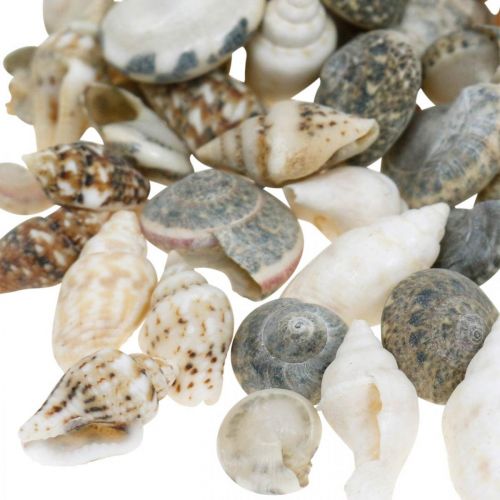 Produkt Deco Snail Shells Mini Nature Mix Dekoracja Morska 1kg