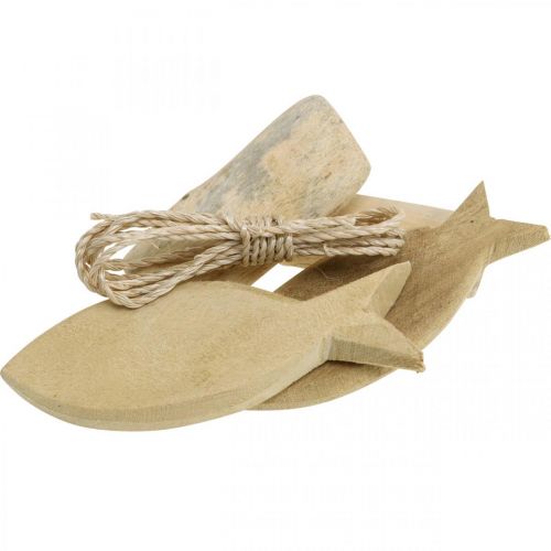 Floristik24 Zestaw DIY-Box Maritime Naturalne muszle z drewna