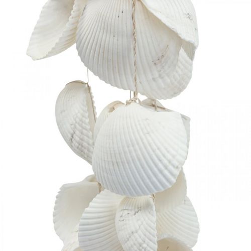 Floristik24 Girlanda muszli Dekoracja morska Girlanda muszli L87cm