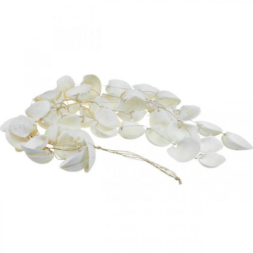 Floristik24 Girlanda muszli Dekoracja morska Girlanda muszli L87cm