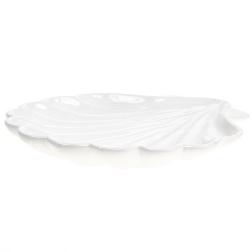 Floristik24 Muszla dekoracyjna biała 15cm x 16cm 3szt.