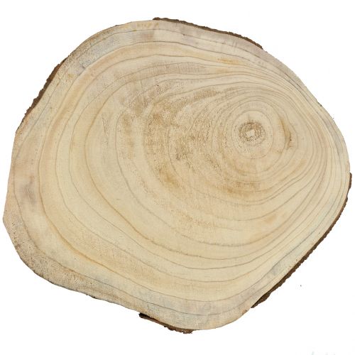 Floristik24 Tarcza do drzewa Bluebell Tree Nature Ø35-45cm