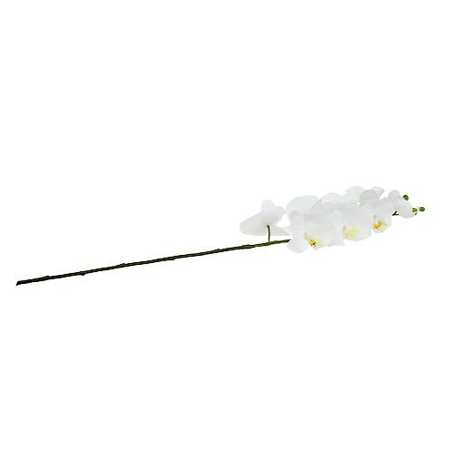 Floristik24 Ćma Orchidea 75 cm Biała
