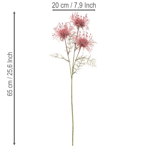 Sztuczna igielnica kwiatowa protea gałązka kwitnąca 65cm 3szt | Floristik24.pl