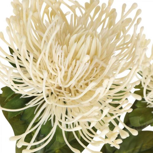 Produkt Poduszka szpilka sztuczne kwiaty egzotyczne Protea Leucospermum kremowa 73cm 3szt