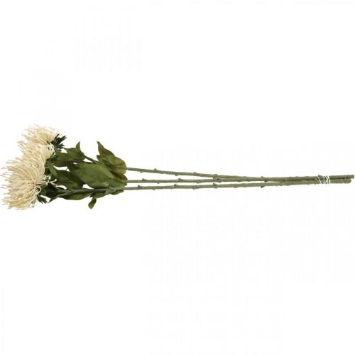 Produkt Poduszka szpilka sztuczne kwiaty egzotyczne Protea Leucospermum kremowa 73cm 3szt