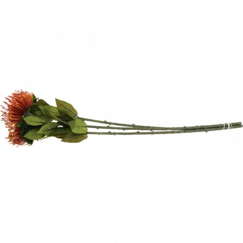 Produkt Poduszka na szpilki Egzotyczny Kwiat Sztuczny Pomarańczowy Leucospermum Protea 73cm 3szt