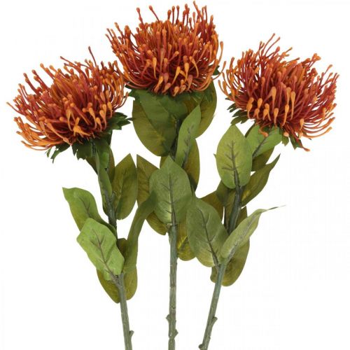 Produkt Poduszka na szpilki Egzotyczny Kwiat Sztuczny Pomarańczowy Leucospermum Protea 73cm 3szt