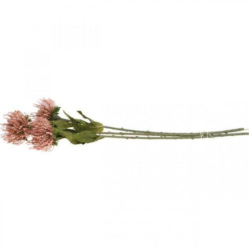 Produkt Poduszka z kwiatami jesiennymi sztuczna Protea Rosa Leucospermum 73cm 3szt