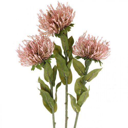 Floristik24 Poduszka z kwiatami jesiennymi sztuczna Protea Rosa Leucospermum 73cm 3szt