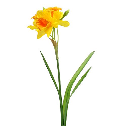 Floristik24 Daffodil Yellow L40cm