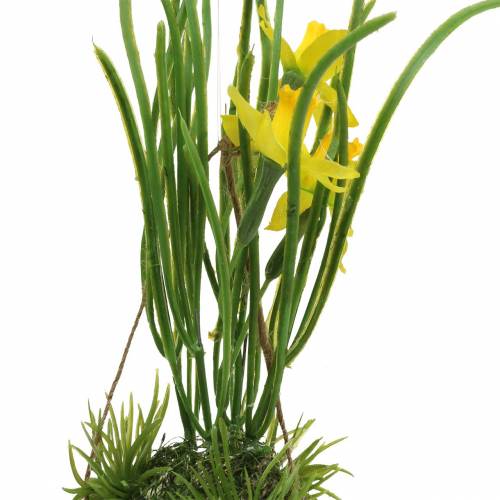 Floristik24 Żonkil w skorupce jajka do powieszenia sztuczny żółty 25cm