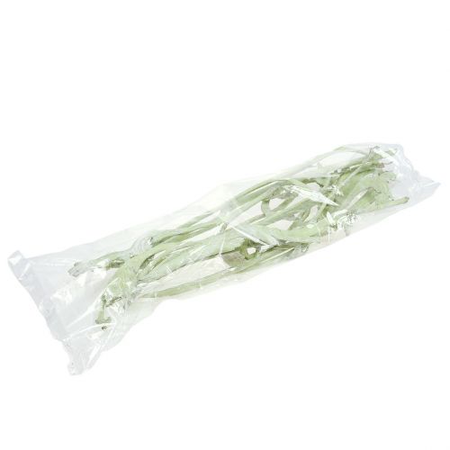 Produkt Natraj Mix jabłkowo-zielone, bielone 10 szt
