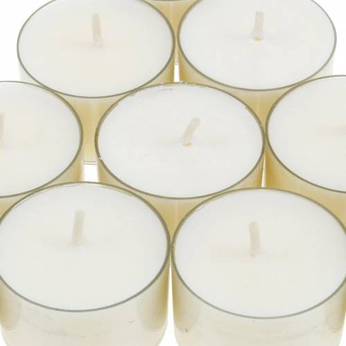 Floristik24 Podgrzewacze PURE Nature Lights Wosk rzepakowy Naturalny Czas palenia 7 godzin 18 szt.