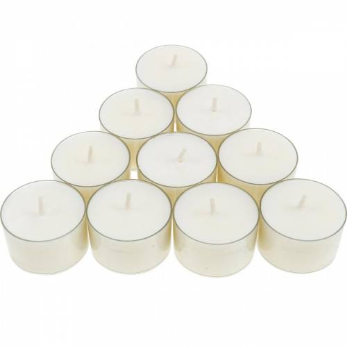 Floristik24 Podgrzewacze PURE Nature Lights Wosk rzepakowy Naturalny Czas palenia 7 godzin 18 szt.