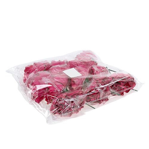 Floristik24 Goździk Różowy Ø9cm Dł.11cm 12 szt