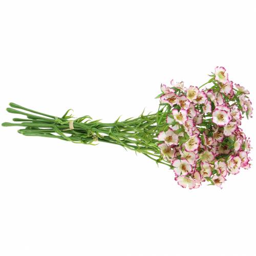 Floristik24 Bukiet goździków biały, fioletowy 34cm