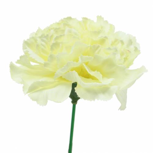 Floristik24 Kwiat goździka biały Ø9cm 12szt.