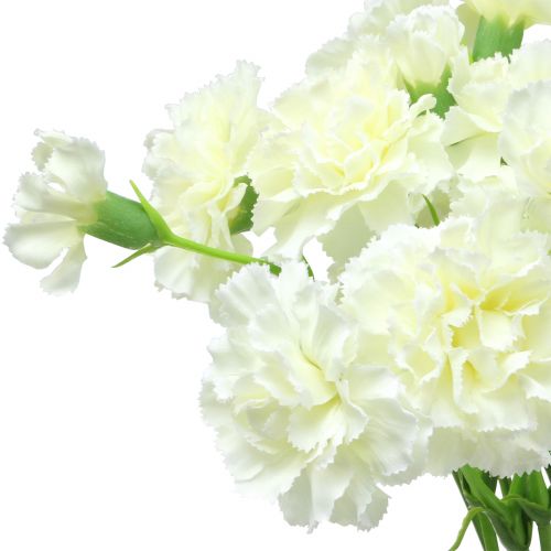 Floristik24 Goździk biały 64cm 4szt