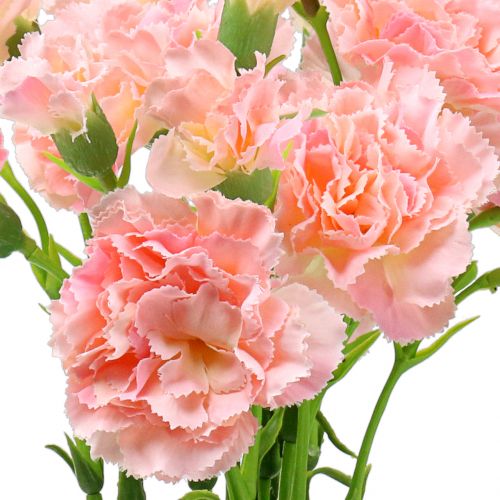 Floristik24 Goździk różowy 64cm 4szt