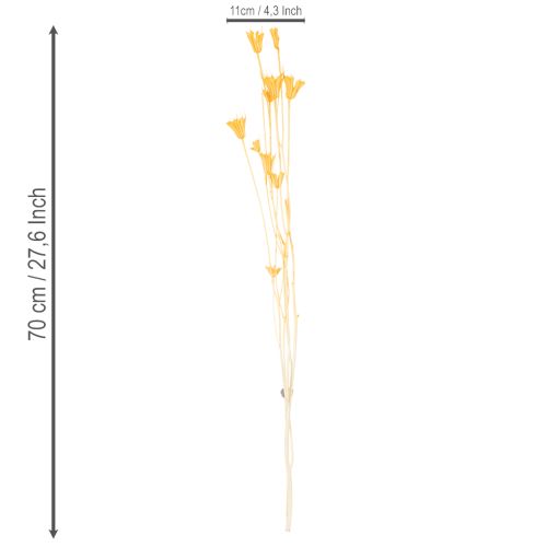 Produkt Kompozycja z suszonych kwiatów czarnuszki do długotrwałego stosowania. Elegancka i przyciągająca wzrok. 70 cm, 50 g