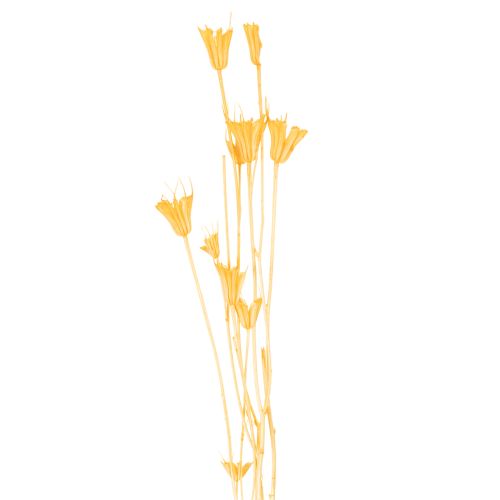 Produkt Kompozycja z suszonych kwiatów czarnuszki do długotrwałego stosowania. Elegancka i przyciągająca wzrok. 70 cm, 50 g