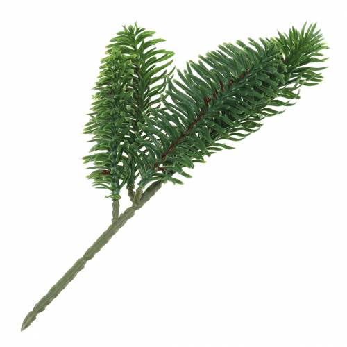 Floristik24 Nobilis Gałązka Jodły Sztuczna Zielona 24cm 12szt.