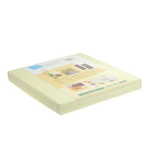 Floristik24 Talerze designerskie OASIS® Ivory Ivory 3 szt