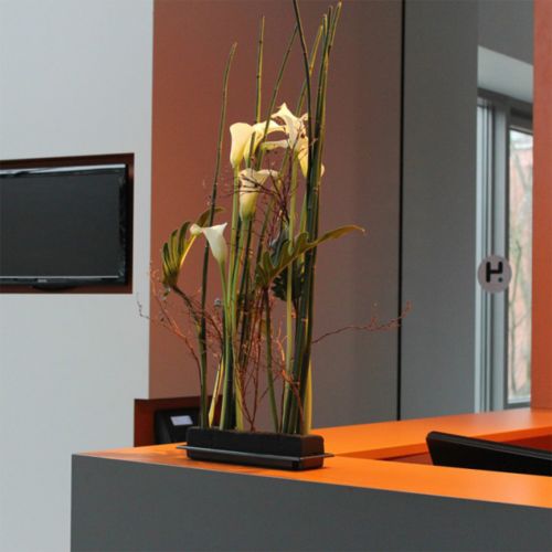 Produkt OASIS® Czarna pianka dekoracyjna na stół Medi Floral 4 szt