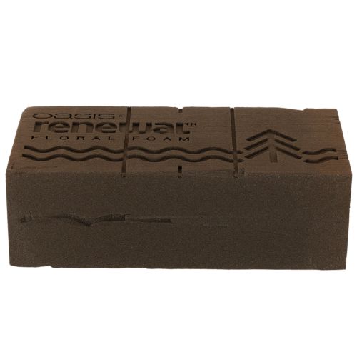 Pianka florystyczna Oasis Renewal 23 cm 1 kostka | Floristik24.pl