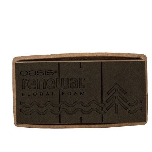 Gąbka florystyczna 1/1 kostka OASIS® Renewal® Gąbka florystyczna Biolit® 24 cm 2 szt. kupić | Floristik24.pl