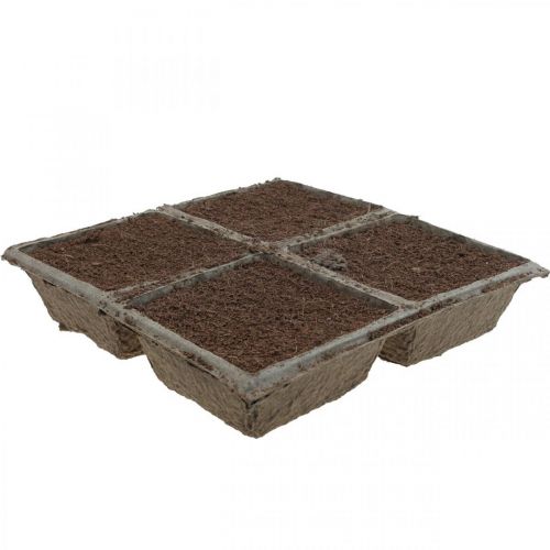 Floristik24 Mieszanka kompostowalna OASIS® TerraBrick™ 8szt