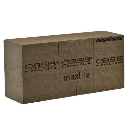 Floristik24 Oasis NatureSource Maxlife Pianka kwiatowa Cegła Brązowa 23×11×7,5cm 1 szt.
