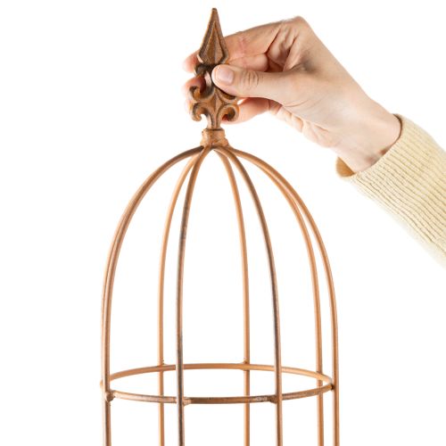 Produkt Kratka ogrodowa, pomoc dla róż i innych roślin pnących, idealna do ogrodu, 108 cm, zestaw 2 szt.