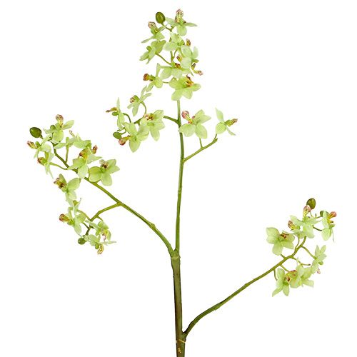 Floristik24 Orchidea 97cm Jasnozielona