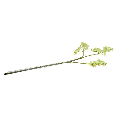 Floristik24 Orchidea 97cm Jasnozielona