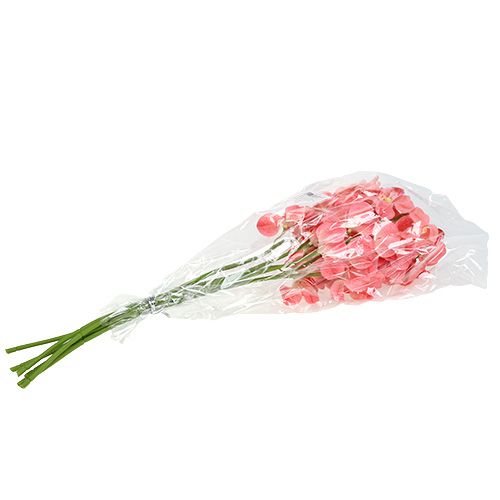 Produkt Orchidea Mokara Łosoś 50cm 6 szt