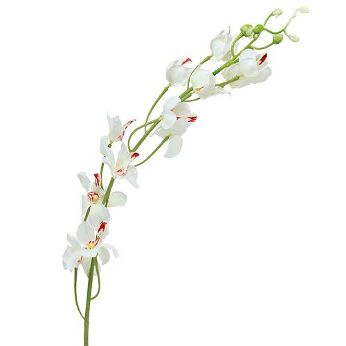 Floristik24 Orchidea Mokara biała 92cm 3szt.