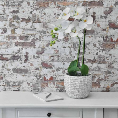 Produkt Orchidea Biała na 65 cm żarówce