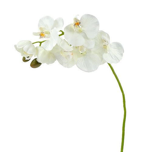 Floristik24 Orchidea biała sztuczna L73cm 4szt.