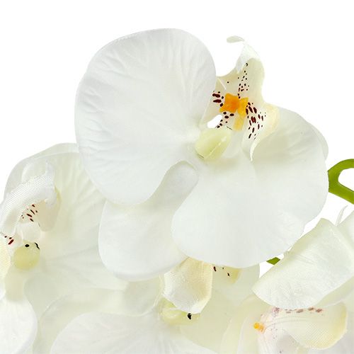 Floristik24 Orchidea biała sztuczna L73cm 4szt.