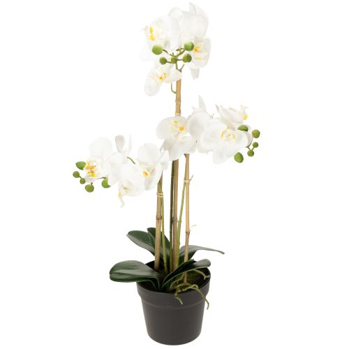 Floristik24 Sztuczna orchidea w doniczce, która stworzy harmonijną atmosferę, biała, 60 cm