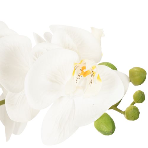 Produkt Sztuczna orchidea w doniczce, która stworzy harmonijną atmosferę, biała, 60 cm