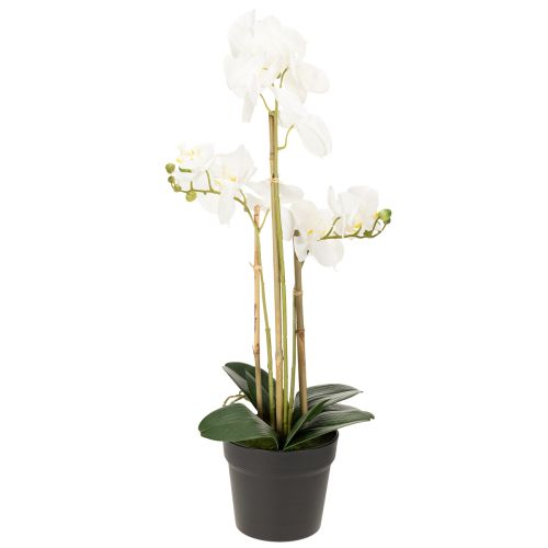 Produkt Sztuczna orchidea w doniczce, która stworzy harmonijną atmosferę, biała, 60 cm